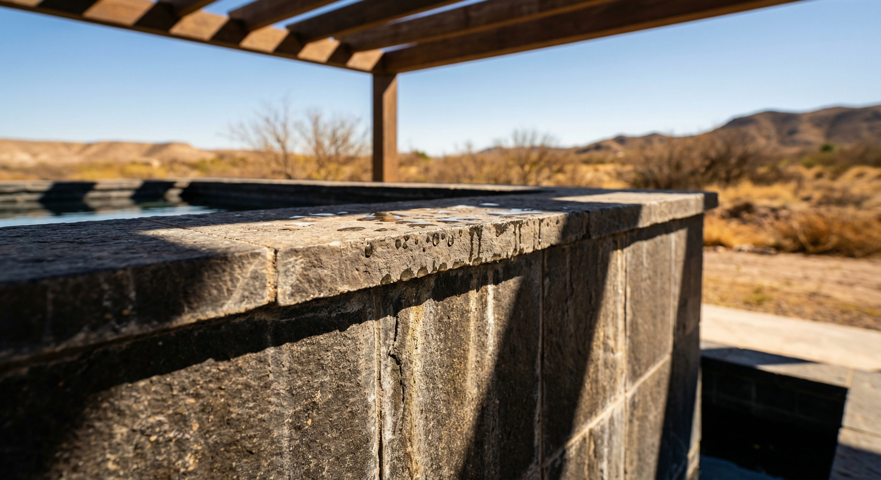 Alberca en Torreón, Coah. — 2024